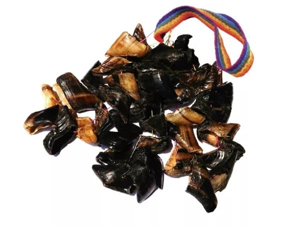 Chajchas Pezuñas de Ovejas