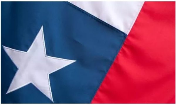 BANDERA CHILENA GRANDE - Imagen 2