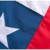 BANDERA CHILENA MEDIANA. - Imagen 2